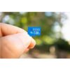 16GB MicroSD Class 10 Everything But Stromboli Memory Card with Adapter (EBS-16TF-U1) - Image 2