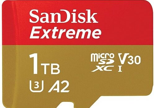 1TB SanDisk MicroSD XAV