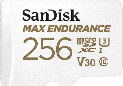 256GB SanDisk Max Endurance