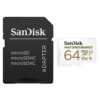 64GB SanDisk Max Endurance