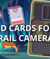 SD Cards for Trail Cameras
