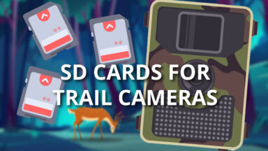 SD Cards for Trail Cameras