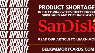 Western Digital SanDisk Products