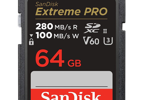 64GB SanDisk UHS-II SD