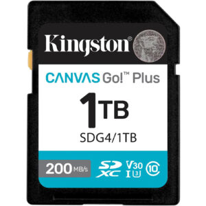 1TB Kingston Canvas Go Plus