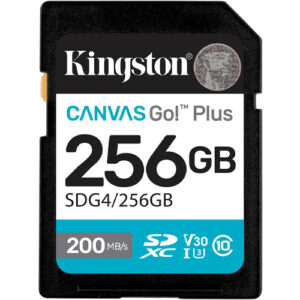 256GB Kingston Canvas Go Plus