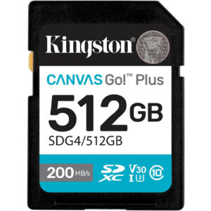 512GB Kingston Canvas Go Plus
