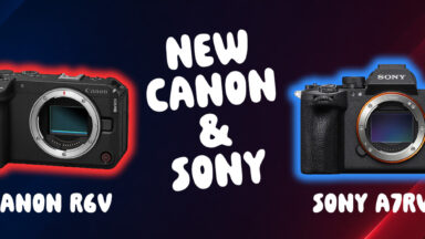 Buyer's Guide to new Sony a7Rvi and Canon R6V